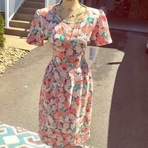 2xl LuLaRoe Amelia NWT
